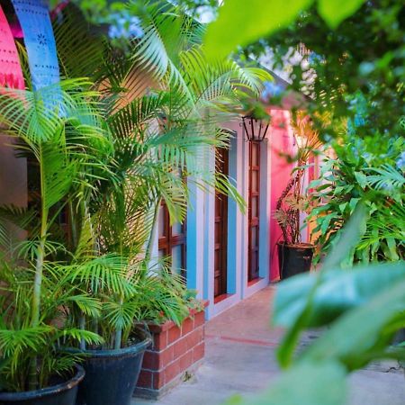 Hotel Las Golondrinas Oaxaca Εξωτερικό φωτογραφία