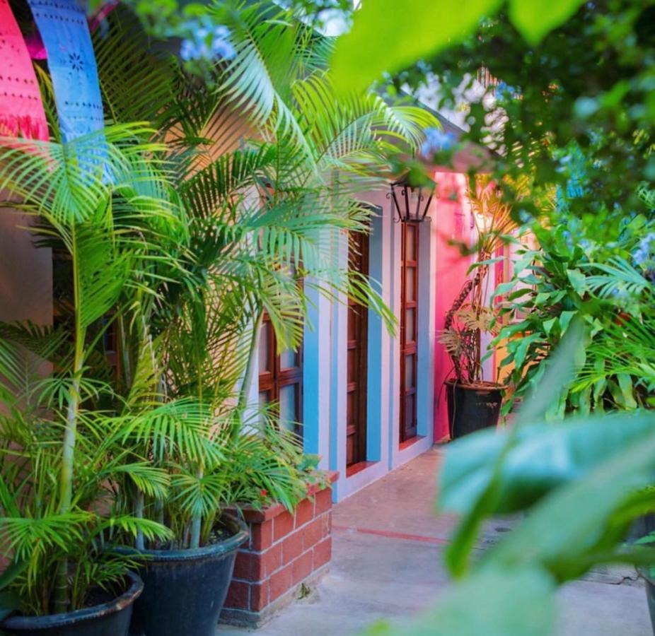 Hotel Las Golondrinas Oaxaca Εξωτερικό φωτογραφία