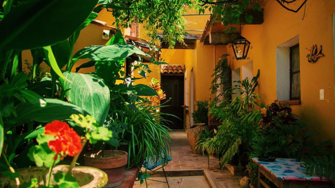 Hotel Las Golondrinas Oaxaca Εξωτερικό φωτογραφία