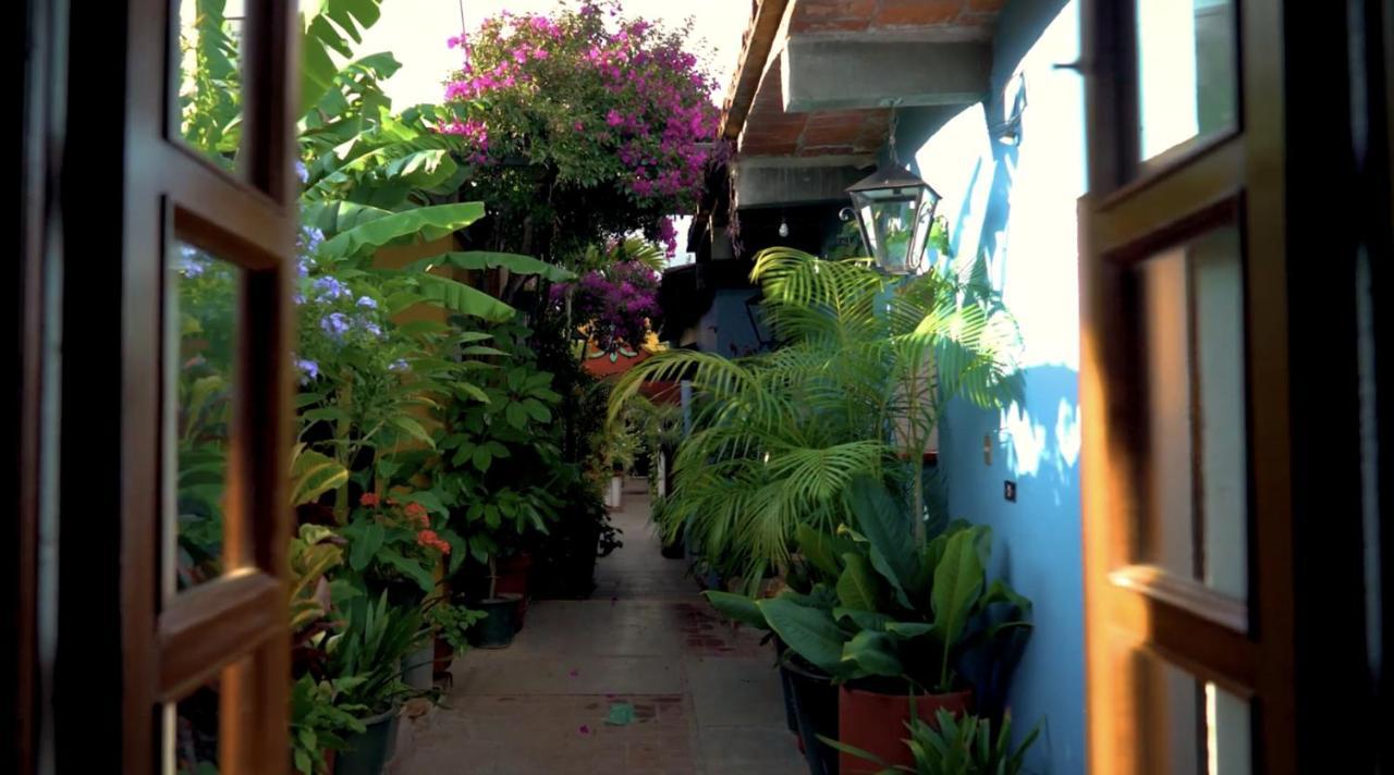 Hotel Las Golondrinas Oaxaca Εξωτερικό φωτογραφία
