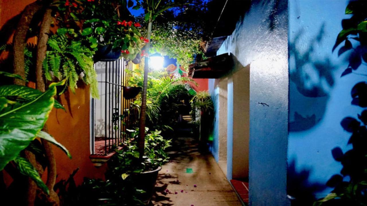 Hotel Las Golondrinas Oaxaca Εξωτερικό φωτογραφία