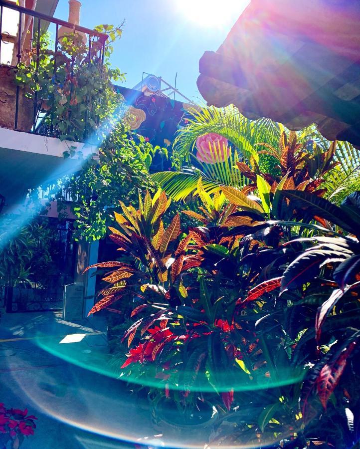 Hotel Las Golondrinas Oaxaca Εξωτερικό φωτογραφία