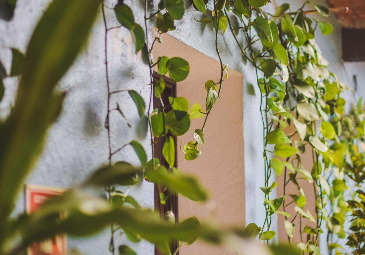 Hotel Las Golondrinas Oaxaca Εξωτερικό φωτογραφία