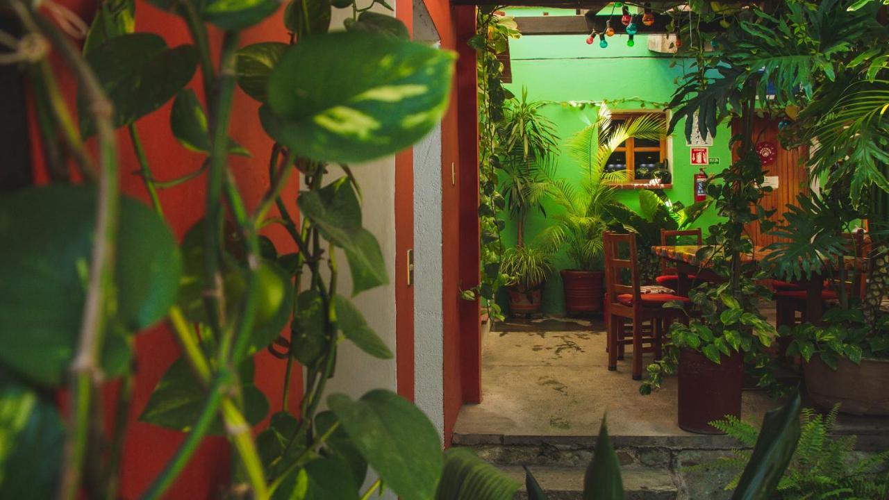 Hotel Las Golondrinas Oaxaca Εξωτερικό φωτογραφία