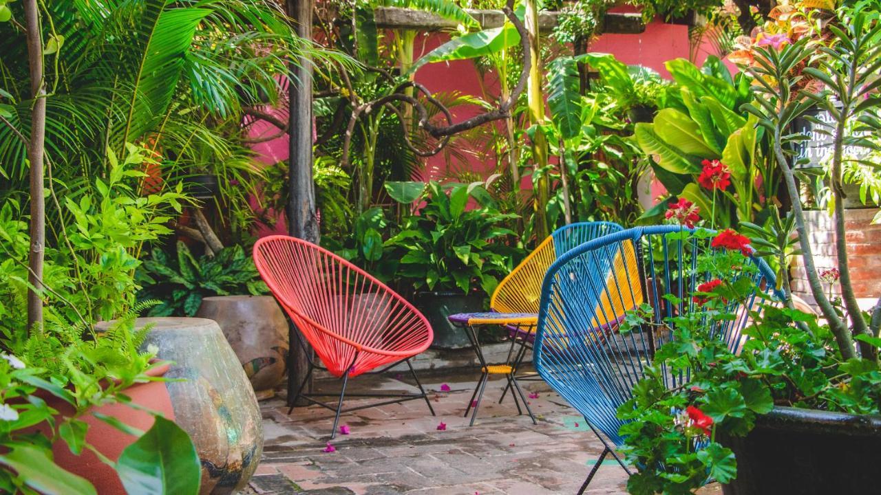 Hotel Las Golondrinas Oaxaca Εξωτερικό φωτογραφία