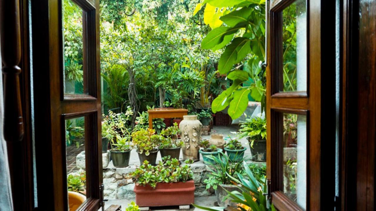 Hotel Las Golondrinas Oaxaca Εξωτερικό φωτογραφία