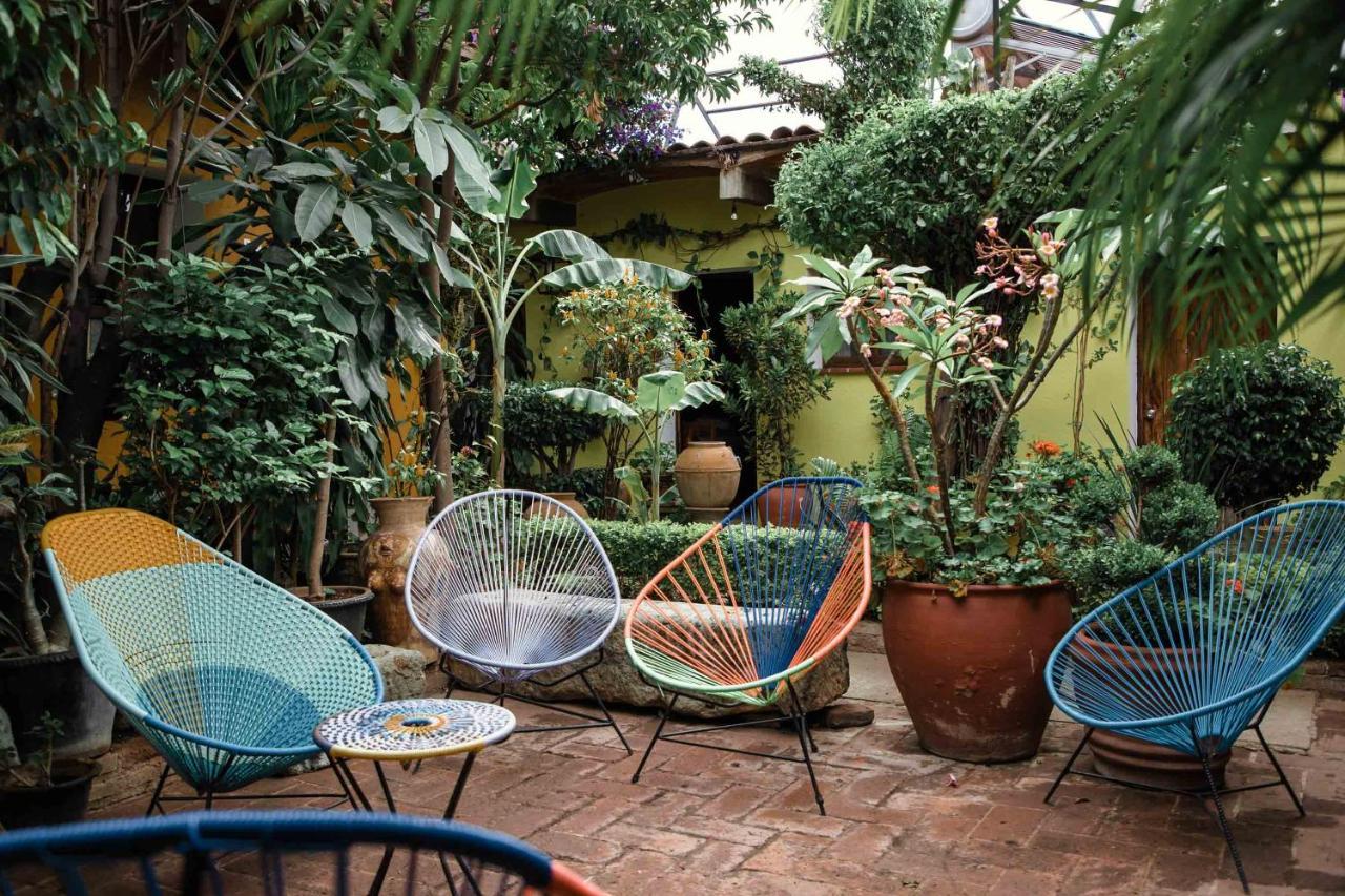 Hotel Las Golondrinas Oaxaca Εξωτερικό φωτογραφία