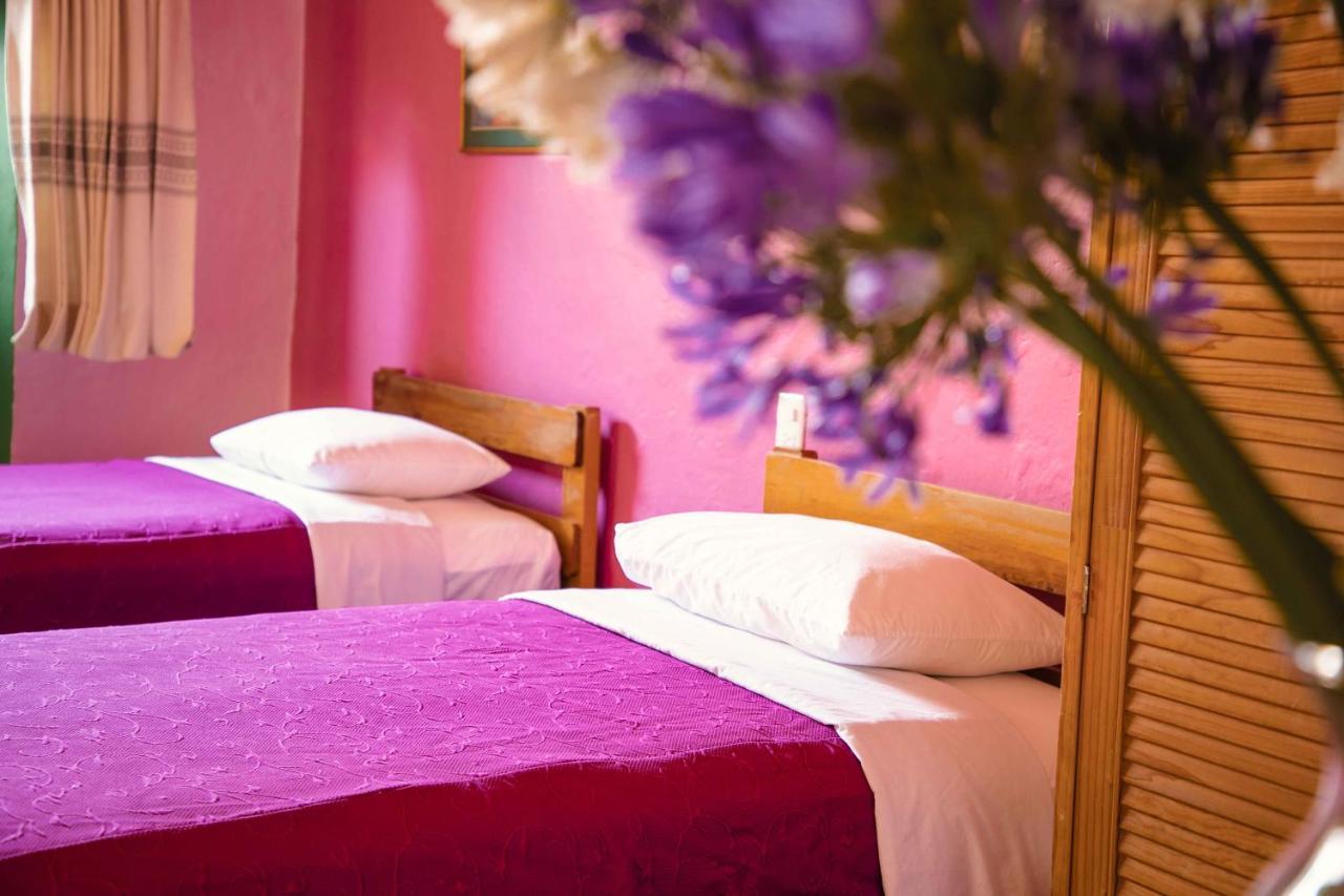 Hotel Las Golondrinas Oaxaca Εξωτερικό φωτογραφία