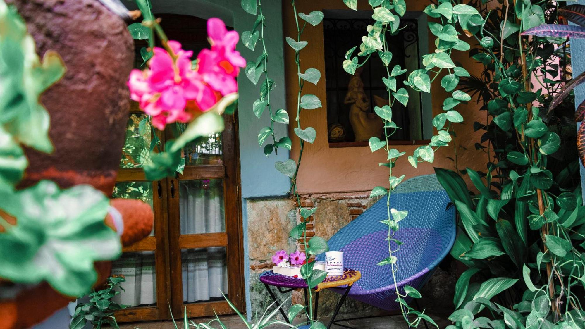 Hotel Las Golondrinas Oaxaca Εξωτερικό φωτογραφία