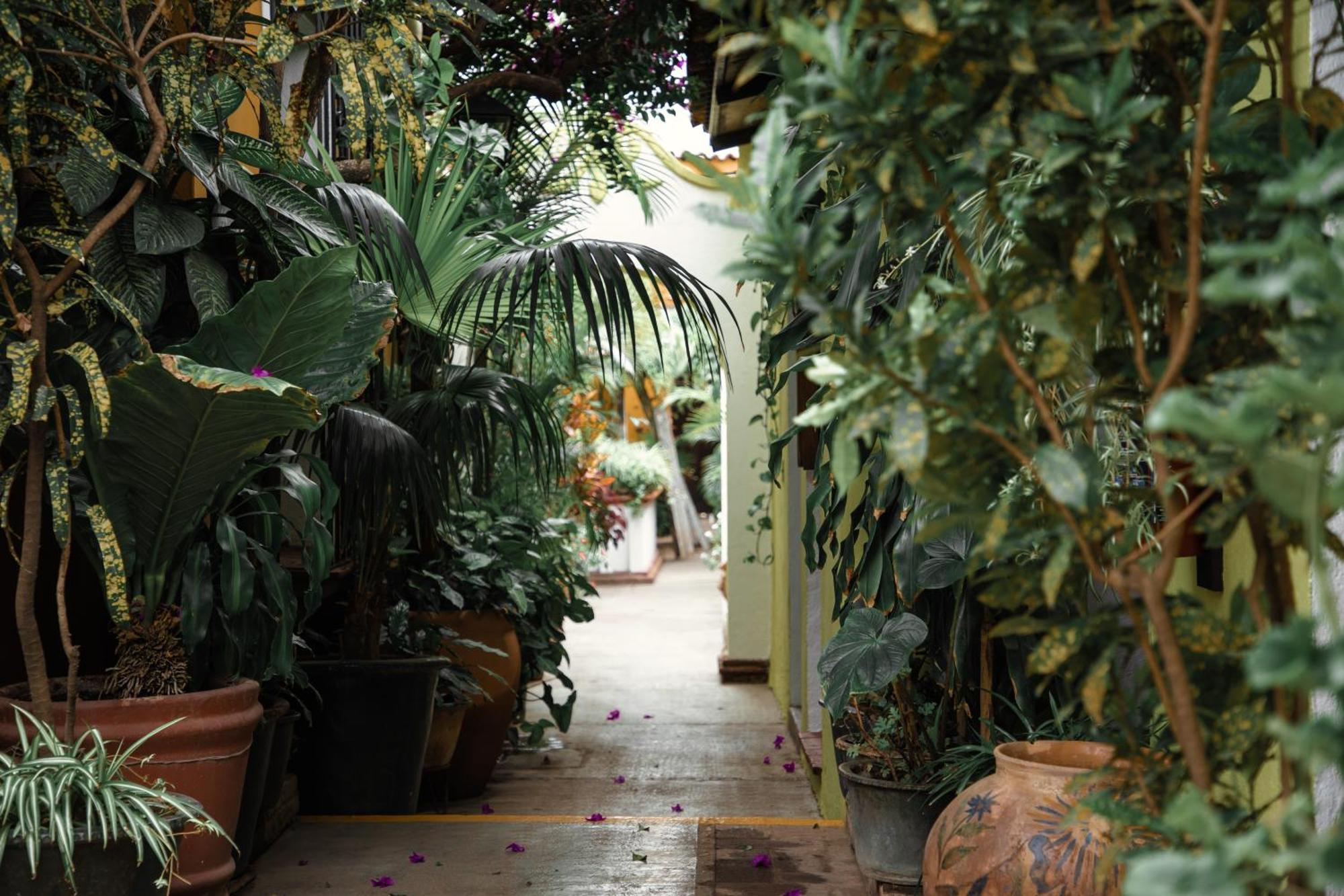 Hotel Las Golondrinas Oaxaca Εξωτερικό φωτογραφία
