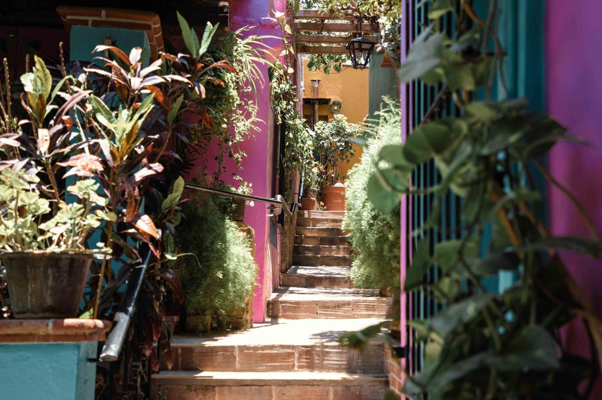 Hotel Las Golondrinas Oaxaca Εξωτερικό φωτογραφία