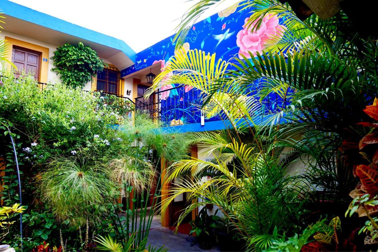 Hotel Las Golondrinas Oaxaca Εξωτερικό φωτογραφία