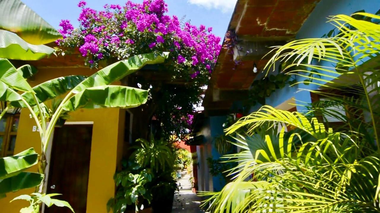 Hotel Las Golondrinas Oaxaca Εξωτερικό φωτογραφία