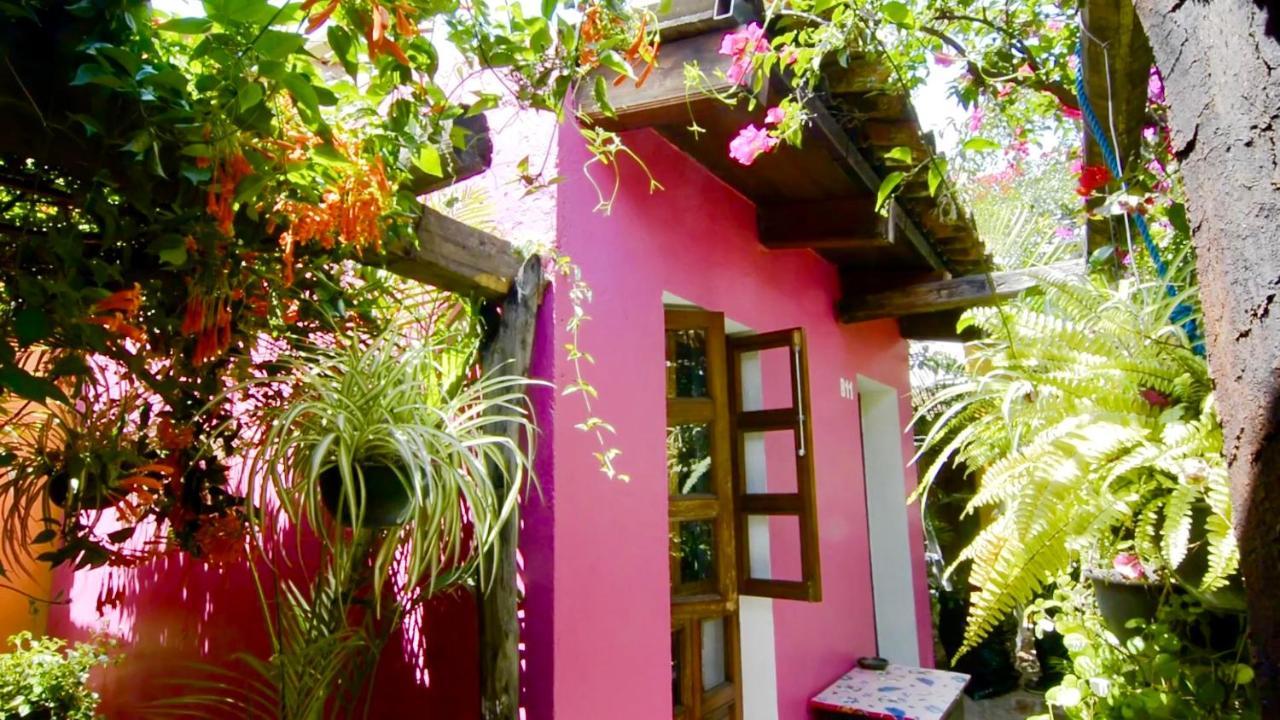 Hotel Las Golondrinas Oaxaca Εξωτερικό φωτογραφία