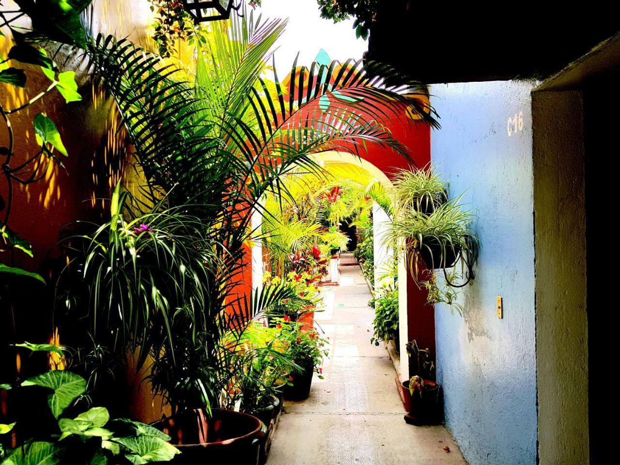 Hotel Las Golondrinas Oaxaca Εξωτερικό φωτογραφία